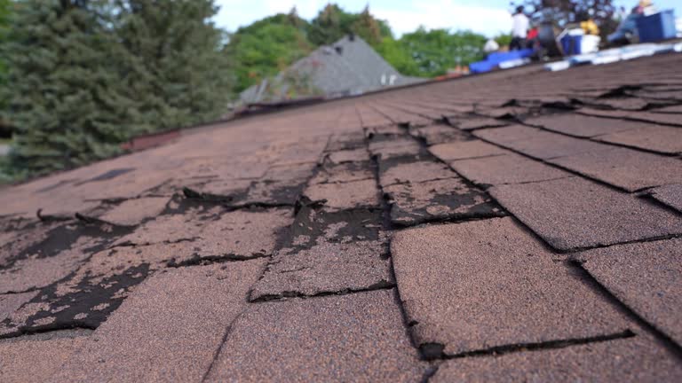 Roof Insulation